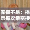 详细解析魔兽争霸3完整版秘籍输入方式及技巧，让你轻松掌握游戏攻略