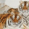 大三巴一肖一特虎归山或7777888888精准大全:猪、猴、马、鼠,标准分析、专家解析解释与落实-远离虚假蛊惑