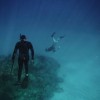 体验真实海洋冒险游戏：全新发布的破烂水手手机版游戏带你揭秘深海秘密