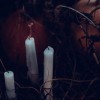 (虎x鹤妖师录剧情咋样)虎鹤妖师录之邪：黑暗力量的觉醒与对抗