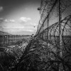 (银河掠夺者视频解说)银河掠夺者为何突然被警察抓捕，内幕调查揭秘真相