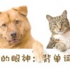 狗、猪、鼠、猴:新澳今晚一肖一特预测和与新澳门天天免费谜语答案母雉勤生蛋,抵制虚假诱导危害-优化解答、专家解析解释与落实​