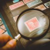 (勇敢的心steam怎么设置中文)勇敢的心steam叫什么？一探游戏世界中的英雄之路