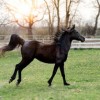 探索斗罗封仙游戏的奇幻世界：揭开神秘角色与精彩剧情的无限可能性