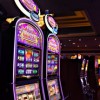 (梦境家园官网)探寻梦境家园网址：畅游无限可能的神秘世界