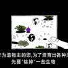 TFS喷气机模组下载中文版-TFS喷气机模组官网下载v.6.51