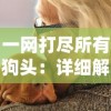 细述陷阱大师内置修改菜单中文版：玩家游戏体验改善策略及实践操作指南