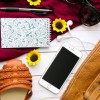 (如何在1元包中抽取到高价值卡牌呢)如何在1元包中抽取到高价值卡牌？