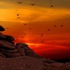 北城枭雄小说夏天：热血冲击，金戈铁马，勇破虎穴，英雄豪情！