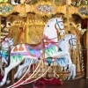 (探寻叶罗丽精灵梦:一个充满奇幻色彩的世界)探寻叶罗丽精灵梦：一个充满奇幻色彩的世界