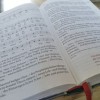 (以教为学什么意思)以教为乐，以学为忍——遇见作文600字的学习与挑战
