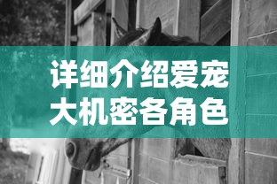 深度解读《修神外传仙界篇》百度百科：详细揭秘仙侠世界的阴阳治理原则和重生转世机制