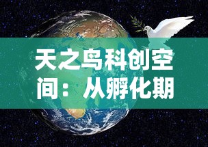 (解忧小屋简介)探索治愈系美食：解忧小村落食谱中隐藏的身心健康秘方