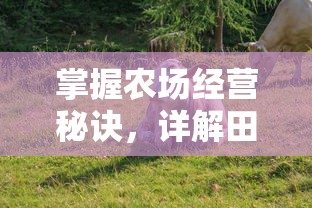 掌握农场经营秘诀，详解田园物语手游攻略：农作物种植与畜牧养殖全攻略