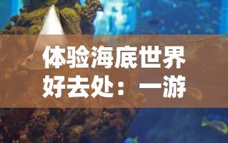 探讨守护之境平民卡组的优化策略：如何根据兵种和技能特点搭配出最强阵容