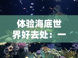 (探索号是什么意思)探索代号zzgs1.0版本：先进科技与日常生活的完美结合