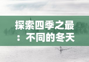 探索四季之最：不同的冬天图文攻略，体验世界各地别样的冬季魅力与文化风情