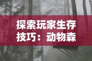 (圣光文明)圣火文明CDK':深度游历文明，体验历史与现代的碰撞