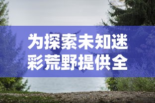 重新出发：揭露女忍者的快乐之旅2中，寻找家族遗失秘宝的刺激冒险与自我成长过程