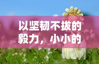 以坚韧不拔的毅力，小小的你像个小勇士：探讨现代儿童如何面对生活挫折与困难的积极状况