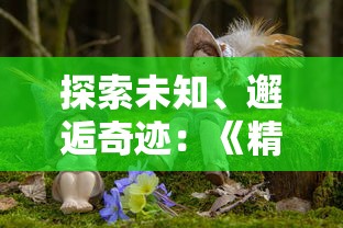 探索未知、邂逅奇迹：《精灵王国第一季》带你走进神秘异世界的璀璨冒险旅程