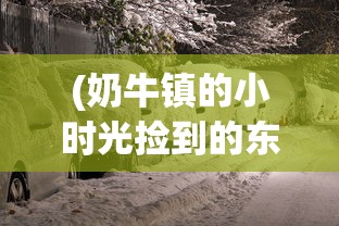 (奶牛镇的小时光捡到的东西该怎么办)深度研究：奶牛镇小时光丢失物品一览与其背后的理论含义解析