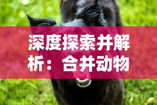 深度探索并解析：合并动物城游戏全攻略，以资源获取与动物升级为重要视角