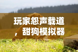 玩家怨声载道，甜狗模拟器更新滞后，是否影响游戏体验值得关注