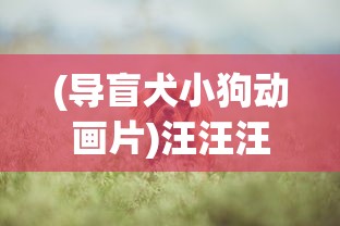 (导盲犬小狗动画片)汪汪汪奇迹再现：细数历年全球导盲犬逆袭故事中的感人时刻