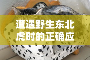 天道创造资源不减反增战胜广告侵袭，揭示未来无广告的良性生态环境构建之路