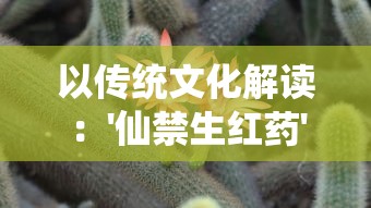 探索神秘的洪荒世界：天道洪荒模拟器青帝版带您领略史诗级的神话之旅