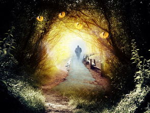 探索神秘的大脑世界： 以《人类跌落梦境》正版为指引，走进思维与潜意识的奇幻漩涡