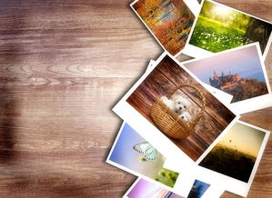 (小小战场攻略)探索小小战场类似游戏：如何在紧张刺激的环境中培养策略思维