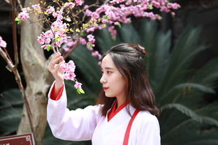 秩序与混沌的边缘:探秘军团之心,揭秘军团与秩序秘境的历史沉浸与神秘挑战 秩序与混沌的边缘:探秘军团之心,揭秘军团与秩序秘境的历史沉浸与神秘挑战