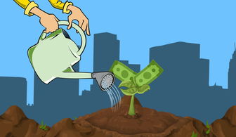 (皇后成长计划 钱万三)深入解析皇后成长计划攻略：揭秘钱万三的成功之路与策略分享