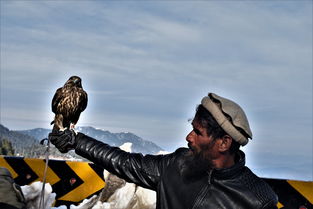 揭秘大冒险家2006:寻找宝藏、探索未知之地、勇闯危险险境的精彩冒险故事 揭秘大冒险家2006:寻找宝藏、探索未知之地、勇闯危险险境的精彩冒险故事