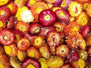 (电脑背景图片唯美)精美电脑背景图片,给你的桌面注入无限生机和创意灵感 (电脑背景图片唯美)精美电脑背景图片,给你的桌面注入无限生机和创意灵感