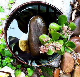 (鹅卵石的用法)使用鹅卵石的作用及其特点分析