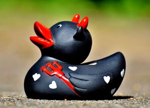 (我的宠物不可能这么可爱下载)不可能!我的宠物绝对不可能那么萌,绝对不会被萌化的! (我的宠物不可能这么可爱下载)不可能!我的宠物绝对不可能那么萌,绝对不会被萌化的!