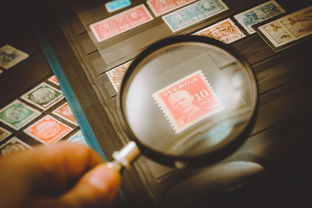香港内部马料免费资料特色|现状分析解释落实_适应款.9.965