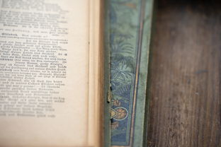 刘伯温免费公开资料澳门|探寻历史背后的秘密与故事_智慧版0.209