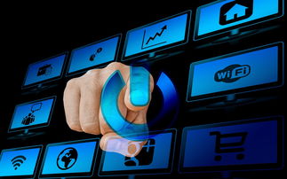 (全民一元夺宝是真的吗)了解一元制和全民二的区别，选择最适合你的理财方式