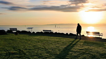 在村长梁大众与薛婷的带领下,探索乡村振兴中的点滴变化与收获 在村长梁大众与薛婷的带领下,探索乡村振兴中的点滴变化与收获