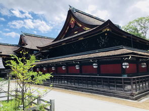 (大唐盛世的文化)探寻大唐盛饰之美：历史、文化与工艺的完美结合