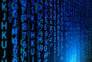 (幽游白书武术会手游值得培养的角色)探索幽游白书武术会手游：重温经典角色与激情战斗的盛宴