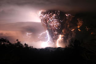 神秘代号黑龙短剧：解密黑暗力量的谜之旅