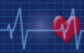 (实现逆势)在逆势环境中探索逆势全文免费获取的最佳途径与技巧分享