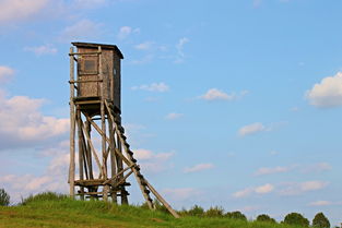天下争霸三国志手游:百家争鸣,智谋较量,征战纵横,谁能称霸天下? 天下争霸三国志手游:百家争鸣,智谋较量,征战纵横,谁能称霸天下?