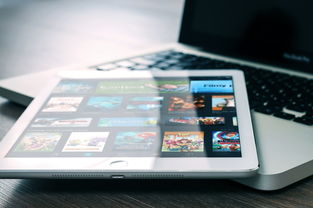 (修真之百炼仙途)探秘仙界之路：揭秘百炼真仙的修炼之道和奥秘