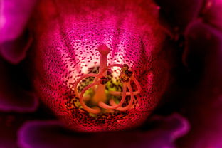 保利桥手机版:轻松查询楼盘信息,全方位了解保利桥房价走势和最新动态 保利桥手机版:轻松查询楼盘信息,全方位了解保利桥房价走势和最新动态